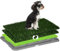 PawHut Toilette per Cani con Erba di Ricambio e Prato Sintetico, Lettiera per Cani e Cuccioli con Vassoio Inferiore per Esterno e Interno, 67x41cm