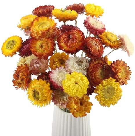 Sunyunze 32 Stück Trockenblumen zum Basteln Natürlicher Getrocknete | Mehrfarbige Gänseblümchen Bouquet Trockenblumenstrauß für DIY Arrangement Tischvasendekoration Wohn und Büropartydekoration