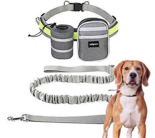 Edipets, Correa Perro para Correr, Manos Libres, Elástica, Running, para la Cintura, Antitirones, 144 a 192 cm, Andar, Bicicleta, Aire Libre, con Bolsillo y Almacenamiento (Gris)