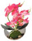 Aisamco Fleurs d'Orchidées Artificielles avec Pot Blanc en Plastique Fausses Fleurs de Phalaenopsis avec Pot Fleur Artificielle pour la Décoration de Bureau de Mariage à la Maison