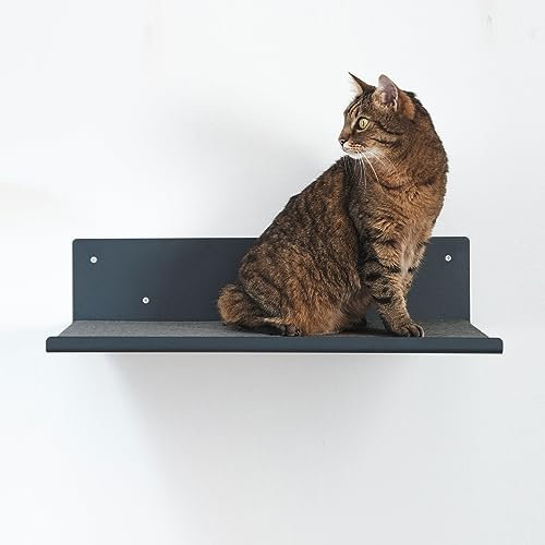 LucyBalu® Wandliege für Katzen | Katzenbett | Liegeplatz | Katzenmöbel für Kletterwand | Katzenregal | Anthrazit Mit Filz-Auflage