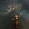 ZQLALA Künstlicher Hirschkopf, Kunstharz, Tierdekoration, Wandhalterung, hängende Dr-Kunst, Boho-Skulptur, Hirsch, Tierkopf, Wandbehang, Dekoration, Gold, 40 x 26 cm