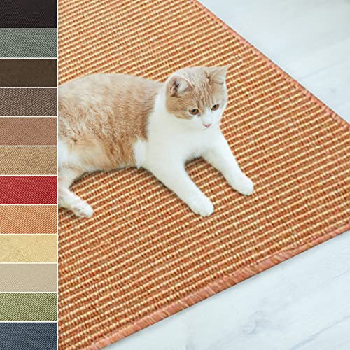 Floordirekt Sisal Fußmatte Teppich Vorleger Kratzteppich Katzenmöbel Kratzmatte Sisalmatte, widerstandsfähig & in vielen Farben und Größen erhältlich (160 x 240 cm, Terra)