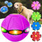 Jouet pour animal de compagnie - Balle soucoupe volante pour chien - Jouet soucoupe - Balle soucoupe volante pour animal de compagnie - Rose - Sans lumières