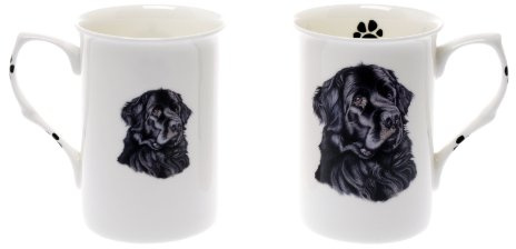 (BB40) Set of 2 Bone China BEAKERS/Mugs Newfoundland Dog Presentation Gift Boxed- Lovely Gift Kirsty Jayne China