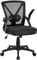 Yaheetech Ergonomic Desk Chair Computer Office Chair with Flip-up Armrest Lumbar Support & Adjustable Height Modern Executive for Home and Study, Black