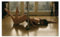 Tapete Vlies 416x254cm Pole Dance Lehrer Tanz Nr. H6162M_TV5BE