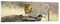 Panorama Bilder auf Glas 160x50cm Glasbild Afrika Leopard Katze Safari Groß XXL Wanddeko Bild im Glas Schlafzimmer Küche Wandbilder Dekoration Wohnzimmer Modern Wand Kunstdruck Art GAB160x50-2599