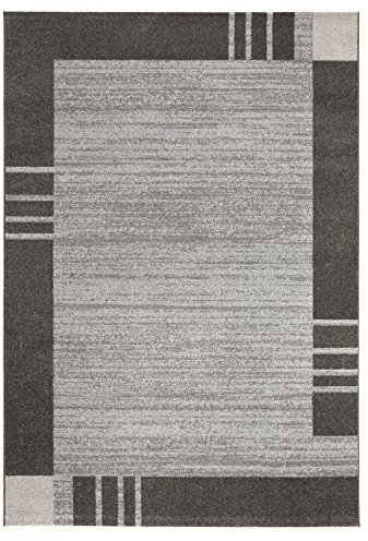 andiamo Webteppich moderner stilvoller Kurzflor Teppich robust und pflegeleicht aus 100% Polypropylen geeignet für Fußbodenheizung und Saugroboter 80 x 150 cm Bordüre Schlamm