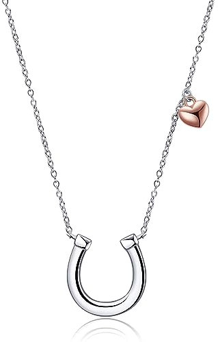 YFN Hufeisen Halskette 925 Sterling Silber Pferde Anhänger Modeschmuck Geschenke für Damen Mädchen (Horseshoe)