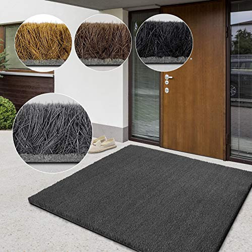 casa pura Paillasson d'entrée en Fibre de Coco Premium,Tapis de Porte antidérapant,Tapis d'entrée Usage intensif,Tapis pour entrée Absorbant,Dense Velours Résistant (17 mm-50x80 cm Gris)