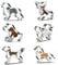 Ausstechformen für Leckerlis, 6 Stück, aus Edelstahl, Border Collie, Chihuahua, Labrador, Rochin, Rottweiler, angenehme Hirtenform, Welpe, Cartoon, Haustier, Hund, Keksausstecher, Stempel