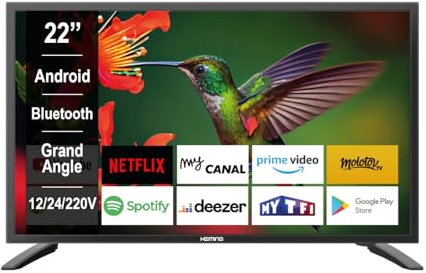 Heming Smart TV 22 (55 cm) Android Connecté Internet WiFi avec Bluetooth - 12V/24V/220V - Camping Car Camion Fourgon Poids Lourd Caravane Bateau Cuisine - Garantie 2 Ans