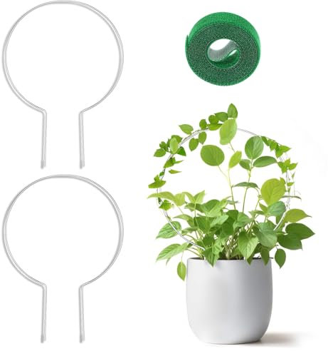 ZEYIYER Lot de 2 tuteurs ronds en métal pour plantes d'intérieur - Pour plantes en pot - Pour plantes grimpantes