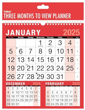 2025 Wall Calendar Planner 3 Months To View Hanging Spiral Bound Red 260 x 240mm