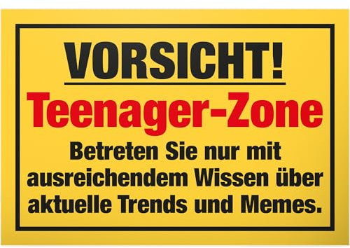 DankeDir! Teenager Zone - Schild 30 x 20 cm - Geschenkidee Jungen & Mädchen Jugendzimmer Türschild Spruch Zimmer - Dekoration Geburtstag Geschenk Idee Zimmer Deko Tür Deko Jugendliche