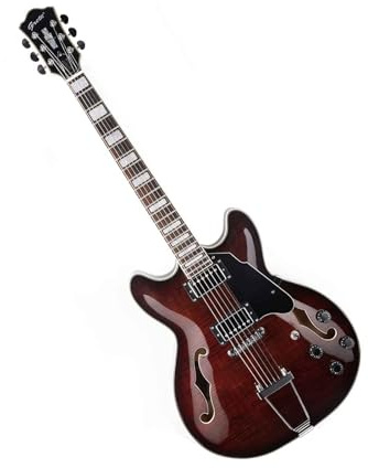 Anfänger E-Gitarre Semi-Hollow E-Gitarre für Anfänger
