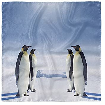 ABAKUHAUS Meerestiere Kopftuch, Pinguine in der Antarktis, Haarwickel, 53 cm x 53 cm, Lila Grau Schwarz Weiß