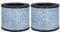 Asheviller F100 Filter Replacement, Compatible with Instant® AP100 Small Air Purifier, H13 Grade True HEPA Filter with Antimicrobial Coating and Activated Carbon Filter, 2 Pack