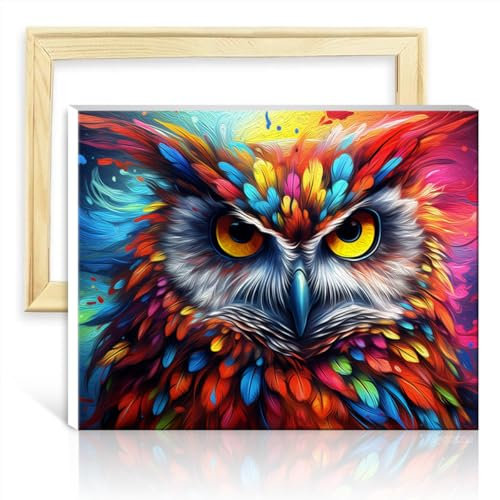 TANGFEIY Malset für Leinwandbilder, Eule, digitales Ölgemälde zum Selbermachen, für Erwachsene, Acrylbilder mit Pinseln, Kunstwerk für die Heimdekoration, DIY-Rahmen (40 x 50 cm)