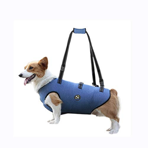 Coodeo | Harnais de Levage pour Chien, Support et rééducation pour Animaux de Compagnie, Sangles Respirantes rembourrées réglables pour Personnes âgées, handicapées, blessures articulaires (Bleu, S)