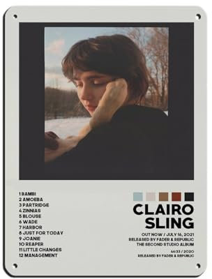 NTRECS Clairo Poster, Schlingen-Poster, Albumcover, Poster, Blechschild, Vintage, Metall, Pub, Club, Café, Bar, Zuhause, Wandkunst, Dekoration, Poster, Retro, 30 x 40 cm