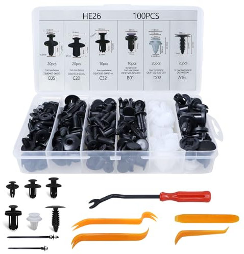 Prebarfun 100 Pcs Grapas Coche, Universal 6 Tamaños Remaches Plastico Coche, Tornillos de Plastico con Herramientas Desmontaje, Clips de Plástico Universales para Parachoques Carrocería de Fender