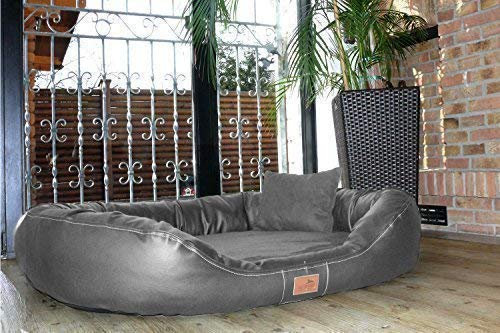 tierlando® Nonplusultra Lennart orthopädisches Hundebett mit Visco Plus | Kunstleder Velours | Premium-Lounge Gr. XXL 140 cm Graphit Grau