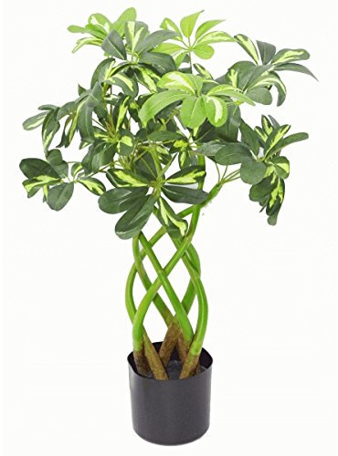 Leaf Artificial Schefflera Arboricola Foliage Plant (Umbrella Tree), Mixed Materials, Bonsai Twist, 70cm