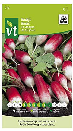 Semillas de rábano de 18 días - Rábano alargado