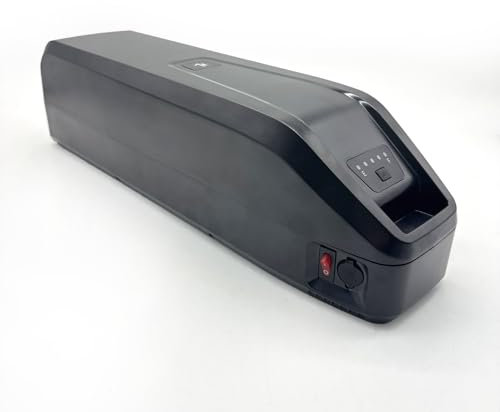 Batterie E-Bike 36V 20AH/48V 15AH, Batterie Li-ION E-Bike, Safety Lock pour Moteur électrique 200-1000W, avec BMS et Chargeur (48V 15Ah)