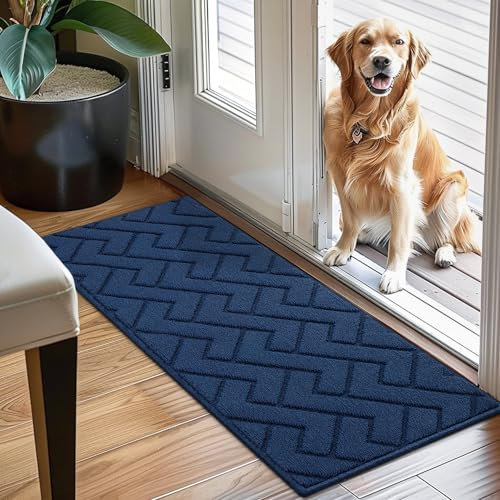 Biscpro Door Mat, 50x120 cm DoorMat Indoor Washable, Doormat Indoor Dirt Trapper Non-slip,Absorbent Inside Entrance Rug Mat for Entryway,Patio,Garden,Laundry Room,Pets - Blue
