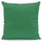 Kissenbezug 30x50 cm Uni Grün Baumwolle Dekokissen Kissenhülle Couchkissen Sofakissen Deko Reißverschluss