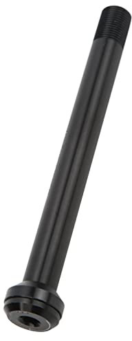 Perno Passante per Bicicletta, Albero Tubo Forcella Universale antiruggine per Mountain Bike per Bici da Strada(12 * 124L*M12 (P1.0)*16L)