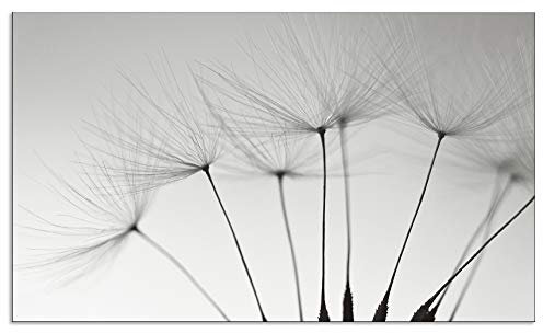 ARTland Spritzschutz Küche aus Alu für Herd Spüle 110x65 cm (BxH) Küchenrückwand mit Motiv Blume Pusteblume Landschaft Natur Zen Modern Hell Grau T5SQ
