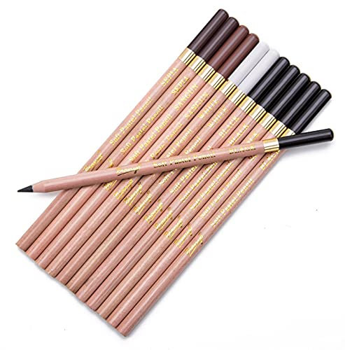 12 Stück Farbstiften Hautfarben Buntstifte Set Sortiert Weiß Schwarz Braun Pastellkreide Pastell Farbig Stifte Bleistifte Künstler Farbstifte für ausdrucksstarke Porträtzeichnungen Zeichenstifte