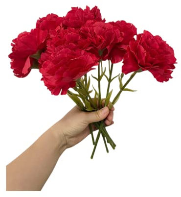 Rikyo 27,9 cm Blumensträuße mit 10 Stielen,für den Außenbereich,Mini-Nelken,Seidenblätter, künstliche Blumen für Immer Pflanzen,für Foto-Requisiten,Heim-Party und Hochzeitsdekoration (rot-10)