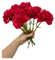 Rikyo 27,9 cm Blumensträuße mit 10 Stielen,für den Außenbereich,Mini-Nelken,Seidenblätter, künstliche Blumen für Immer Pflanzen,für Foto-Requisiten,Heim-Party und Hochzeitsdekoration (rot-10)