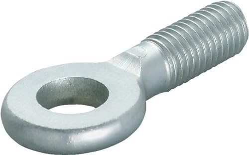 Fischer Augenschraube AG 8 x 25, 79696
