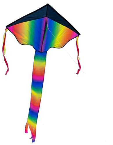 CIM Großer Kinder-Drachen - SUPER-Drachen Rainbow Flyer XL - Einleiner Flugdrachen für Kinder ab 6 Jahren - 106x210cm - inklusiv 80m Drachenschnur und Streifenschwänze