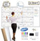 Großer wiederverwendbarer trocken abwischbarer Jahres-Wandkalender – Jumbo-Premium-laminierter 12-monatiger Aufgaben-Organizer – 96.5x182.9 cm undatierter Jahresplaner für Zuhause, Büro, Schulprojekte
