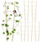 KADAX Bambusleiter, 5er Set, Stützleiter für Blumen, Garten-Pflanzenstütze aus Bambusholz, Blumengitter, Rankhilfe, Gitterspalier V-Form, Kletterhilfe (H:60cm, doppelt)