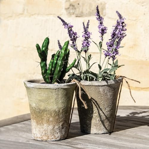 Wholesome Home Rustic Stone Plant Pot, Weathered White Terracotta, Various Sizes, Garden Container (X Large Pack of 2 (16x12cm))