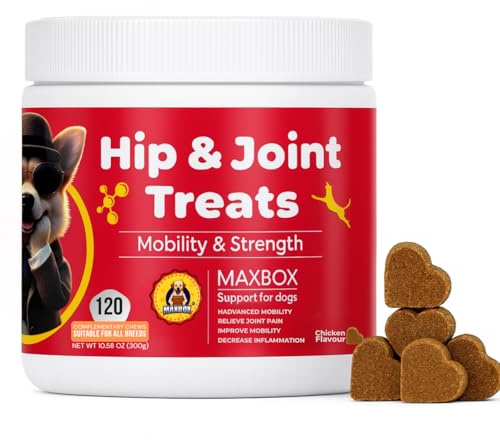 Joint Supplements for Dogs，Dog Joint Supplements for Advanced Mobility & Strength Support. Relieve Stiffness, Boost Strength & Improve Flexibility，Natural Glucosamine + MSM + Chondroitin Blend