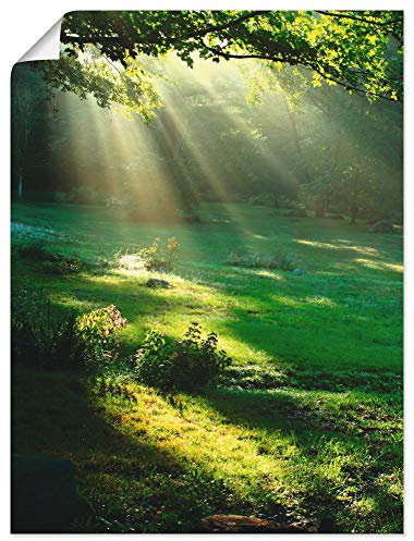 ARTLAND Wanddeko Poster & Kunstdrucke Wandposter 60x80 cm Natur Landschaft Wald Sonne Wiese Landhaus Modern T5XX