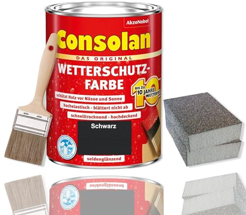 Consolan Wetterschutzfarbe Set 750 ml Holzfarbe Dauerschutz Deckend mit Zubehör (Schwarz)