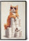 Paul Sinus Poster/Leinwandbild/Rahmenoption – Coole Katze auf dem Klopapier-Thron – Lustige WC-Deko für dein Badezimmer