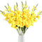 AQCQDQ Künstliche Gladiolen mit langem Stiel, 78 cm Lange künstliche Blumen, Weiße Gladiolen Seidenblumen, Langer Stiel für Hochzeit, Babyparty, Tafelaufsätze, Dekoration, 10 Stück (gelb,5 Stück)