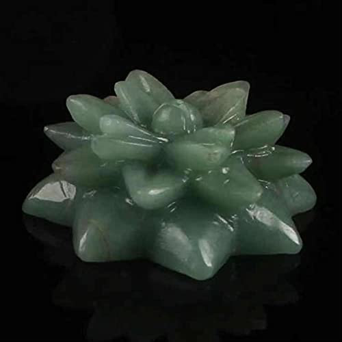WGPHD Health & Household 1 pieza Natural Verde Jade Flores Suculentas Plantas 2 Pulgadas para Decoración