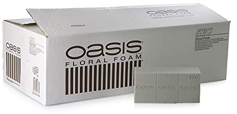 Flowerbox Oasis Steckschaum SEC Ziegel 24cm Steckmasse Steckschwamm - 35 Stück